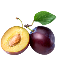 Plum