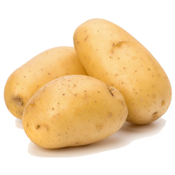 Potato