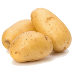 Potato