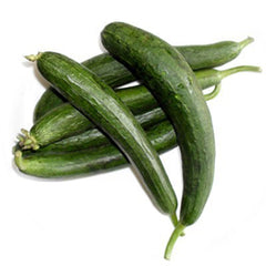 Ridge Gourd